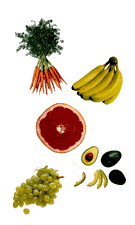 fruits.gif